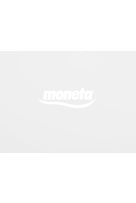 MONETA систем